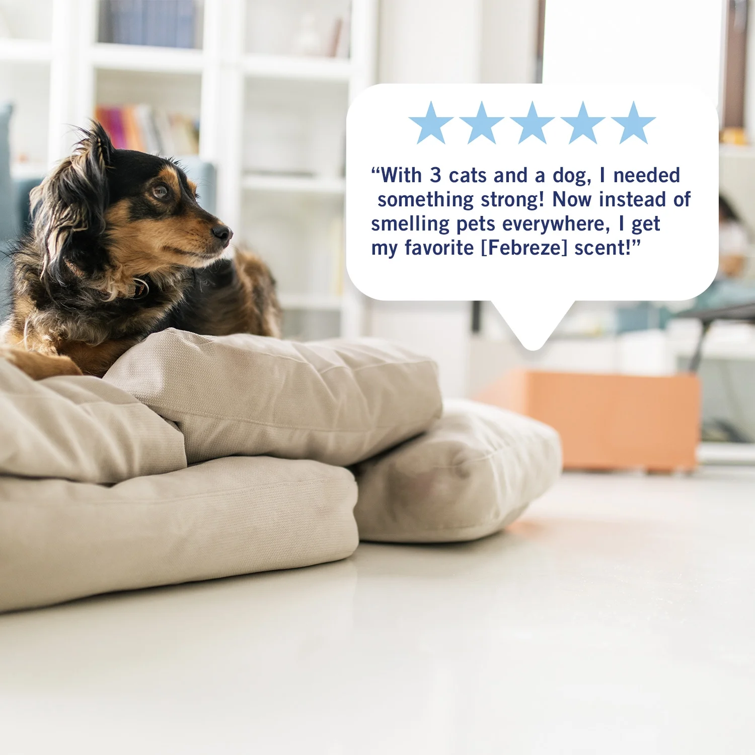 Febreze Plug Refill Odor-Fighting Air Freshener Sea Salt Caramel & Maple Scent, 3 Ct 0.87 fl oz Each - Image 10