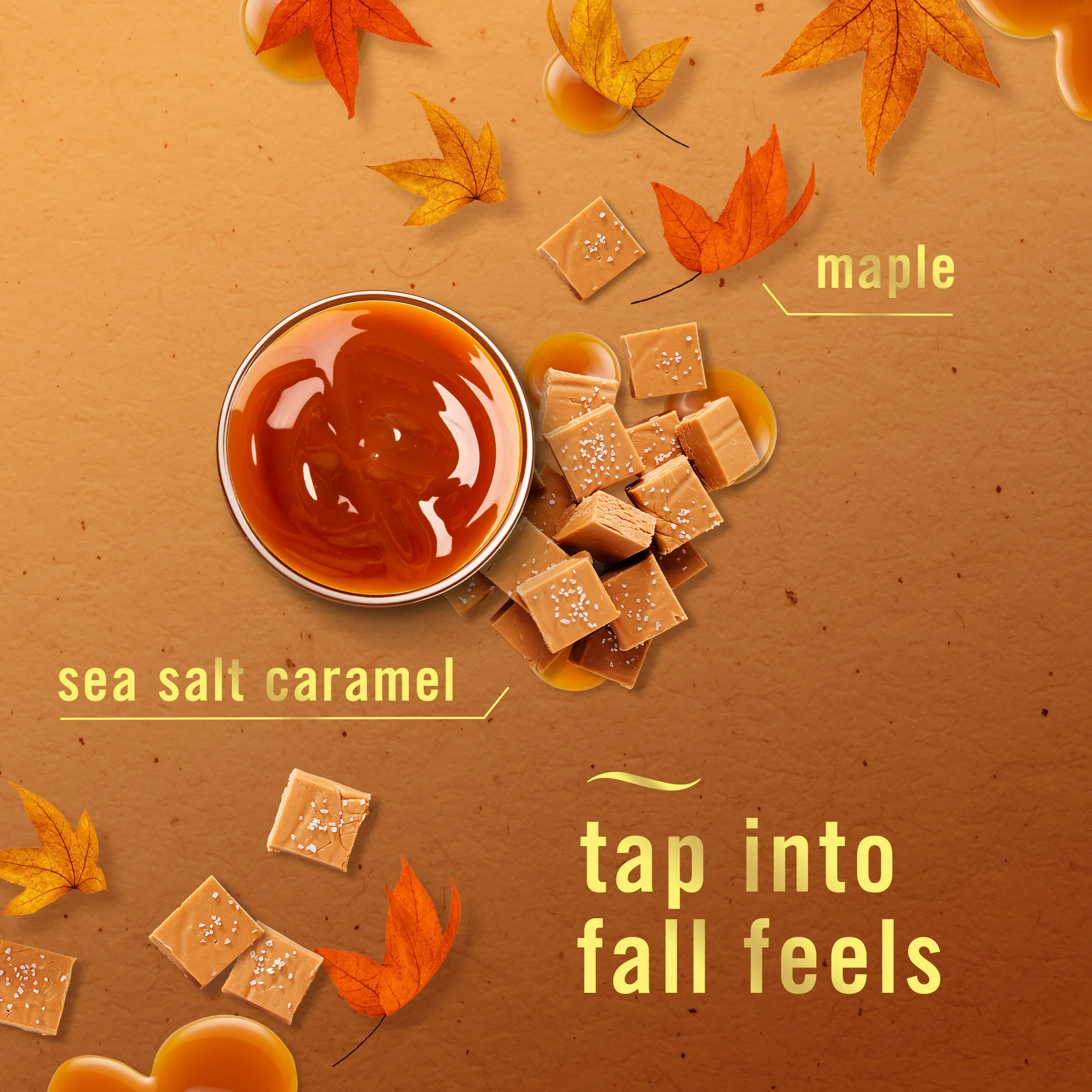 Febreze Plug Refill Odor-Fighting Air Freshener Sea Salt Caramel & Maple Scent, 3 Ct 0.87 fl oz Each - Image 4